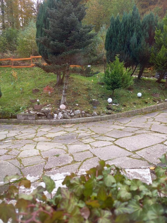 Monteurwohnung Aroba Fehrenbach Екстериор снимка