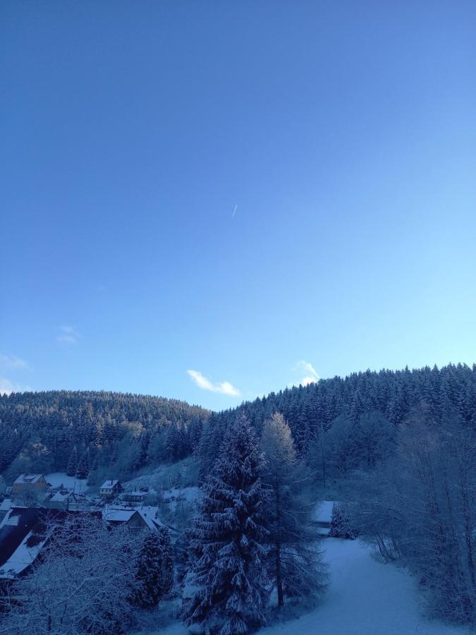 Monteurwohnung Aroba Fehrenbach Екстериор снимка