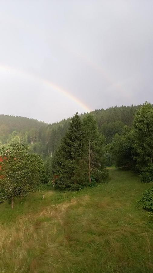 Monteurwohnung Aroba Fehrenbach Екстериор снимка