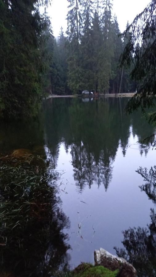 Monteurwohnung Aroba Fehrenbach Екстериор снимка