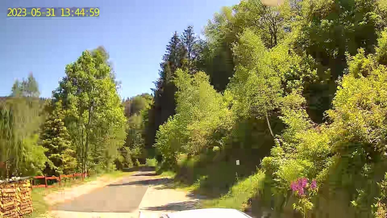 Monteurwohnung Aroba Fehrenbach Екстериор снимка
