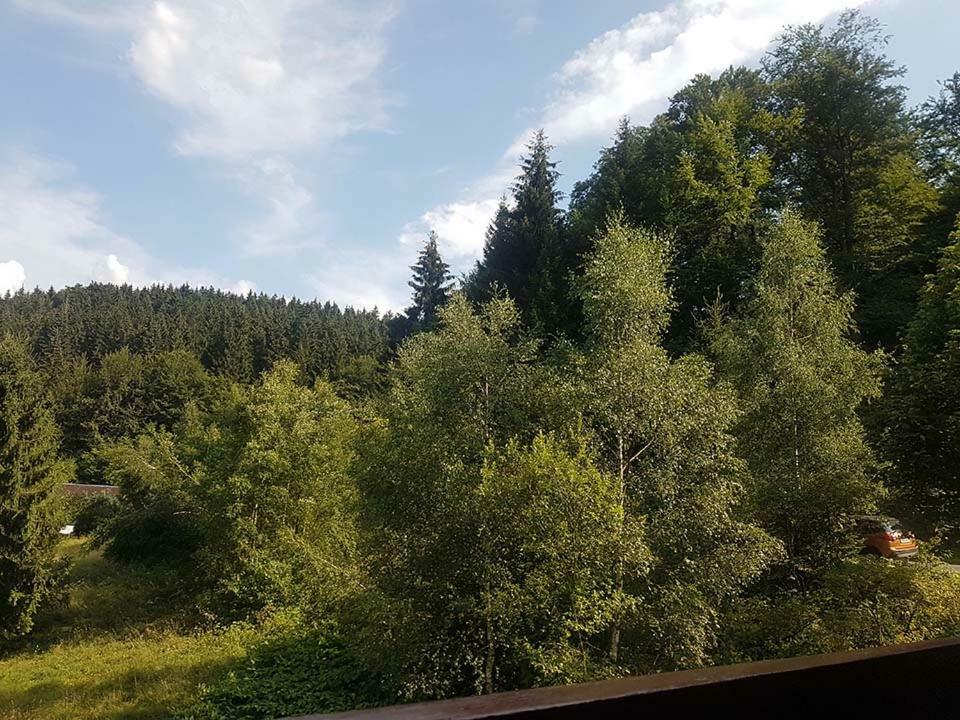 Monteurwohnung Aroba Fehrenbach Екстериор снимка