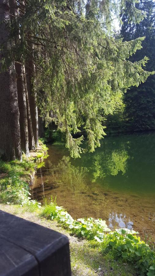 Monteurwohnung Aroba Fehrenbach Екстериор снимка